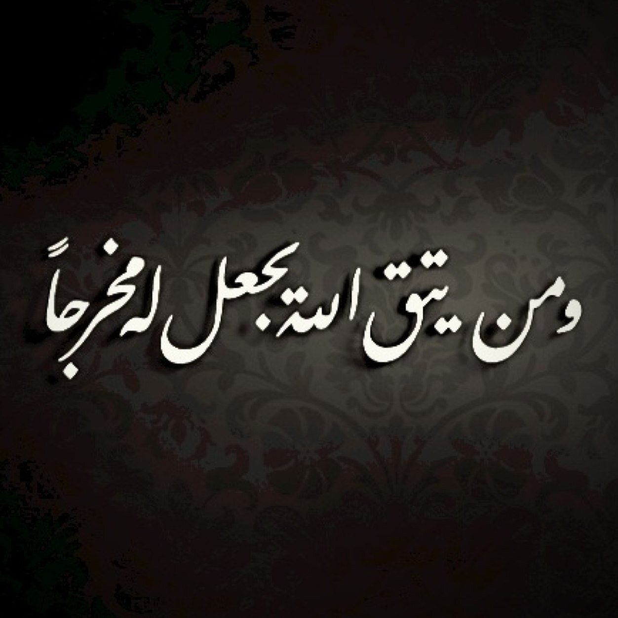 MlyZein's profile picture. 