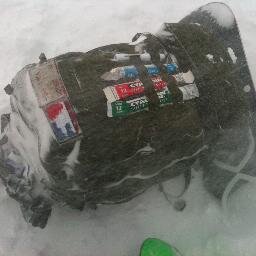 alexmarycross's profile picture. twitter occasionalist