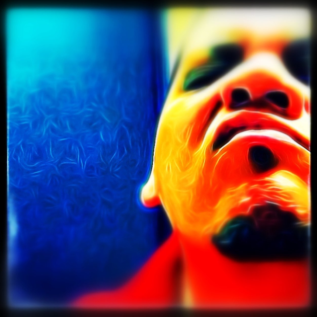 iWILD_'s profile picture. Please dont follow me. Or I will bloxk u. NOT here to provide witty banter and give SUPER great advice. Just a Guy that digs alittle bit of nothing at all.