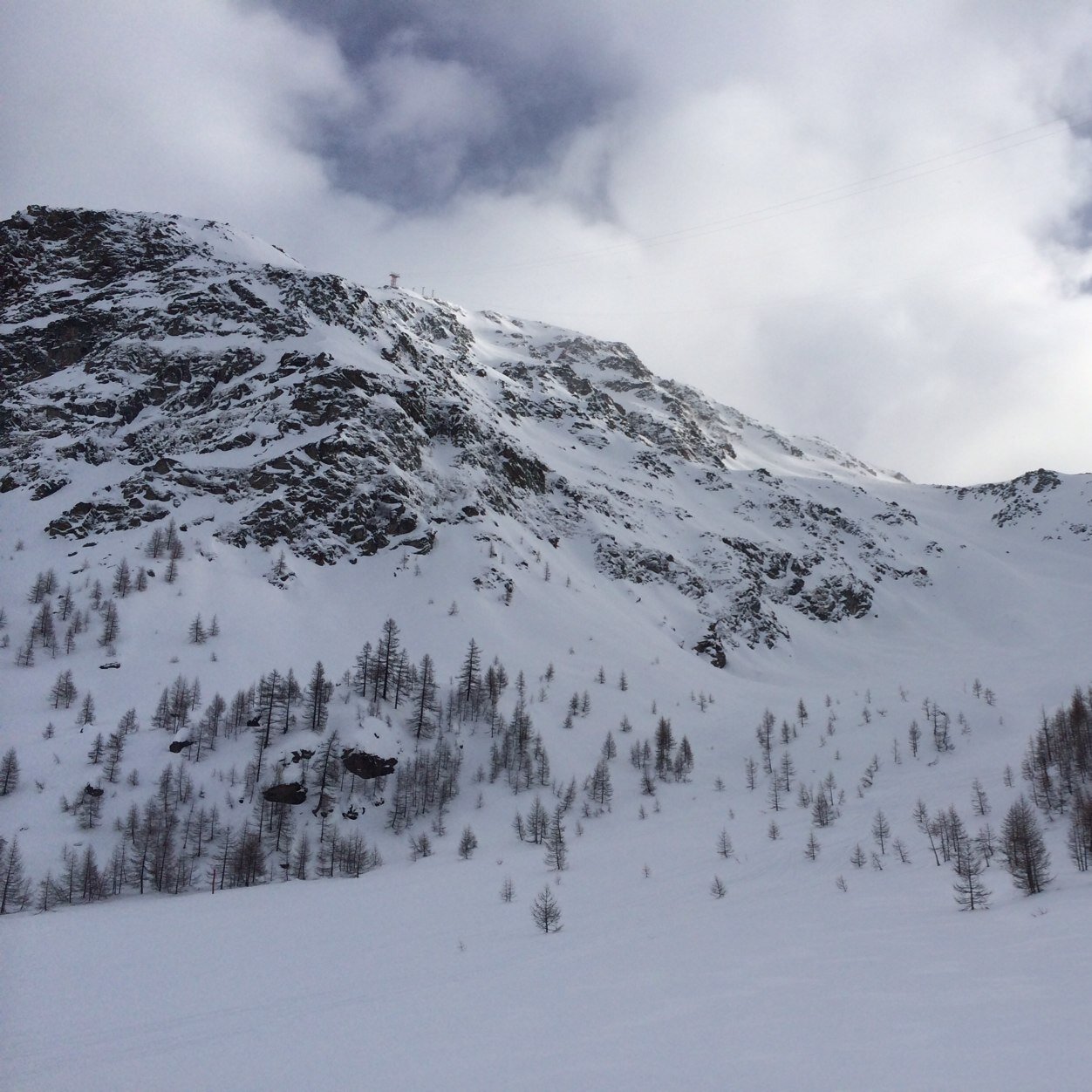 twickersmum's profile picture. 