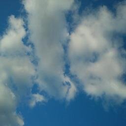 Handtest2's profile picture. 