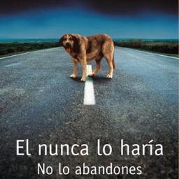 Cuenta para informar dónde hay perros sin hogar en Córdoba, tanto perdidos como abandonados. Entre todos podemos mejorar sus vidas.