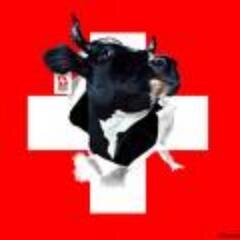 ThierryGhelfi's profile picture. 