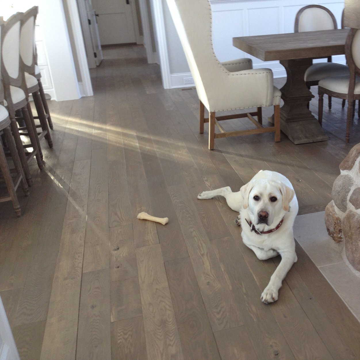 mattmesenburg's profile picture. 