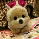 kana (@0514_08) Twitter