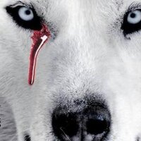 Lupara (@lupara) 's Twitter Profile