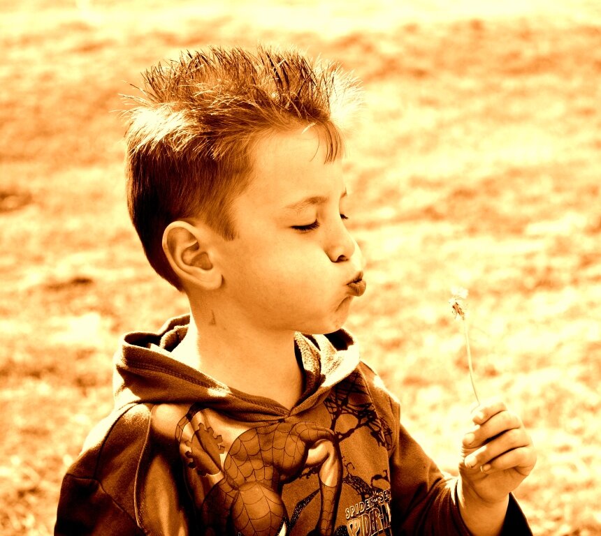 bugkiller007's profile picture. Mom's Journey helping her son fight ALL (leukemia)