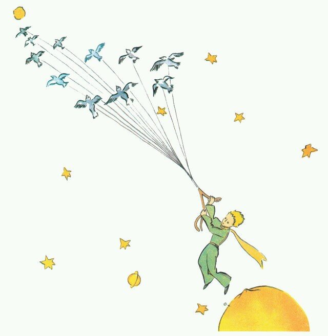 serapeem's profile picture. 힘을 내야지 행복해져야지