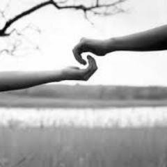 Somos fãs sem fronteiras um amor verdadeiro. Quem é fã segue!!!