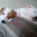 Fiona Evans - @fionaewha - Twitter