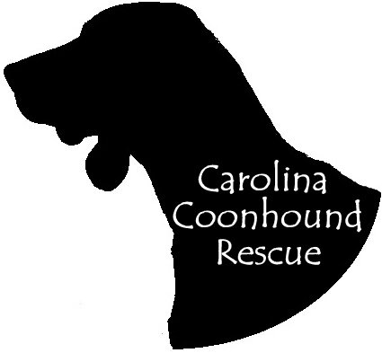 Rescuing coonhounds from shelters and placing them in loving forever homes since 2010!