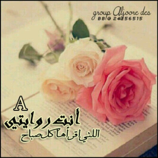 ♥سوفه اتوكل على الله فهو حسبي ♥