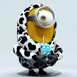 Gelatoon's profile picture. Vamos viver o futuro, porque o presente virou passado e o passado não volta mais.