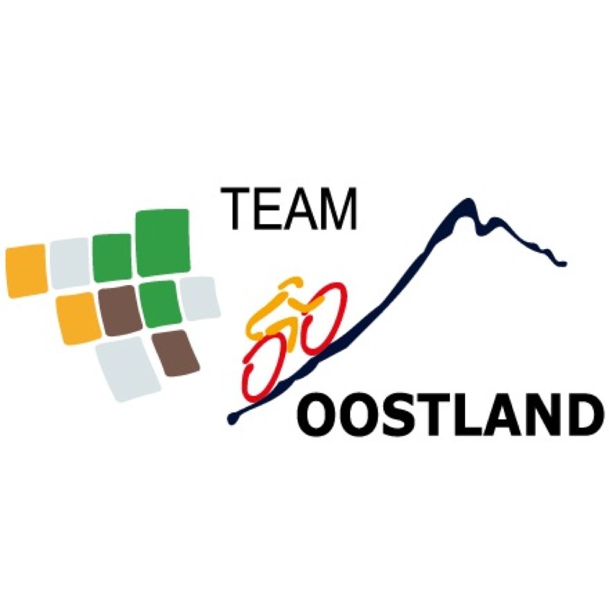 Team Oostland bestaat uit 60 enthousiaste fietsers en vrijwilligers. Zij gaan de uitdaging aan zoveel mogelijk geld op te halen voor alpe d'HuZes