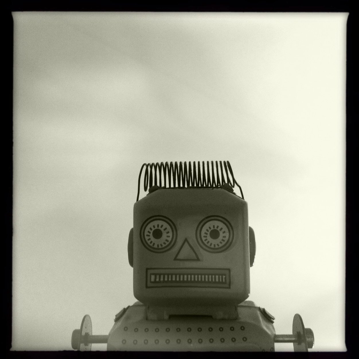 Roderick Robot