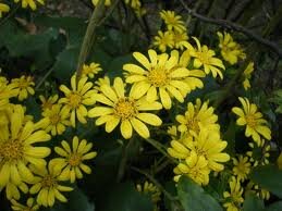 etmstryalwwho's profile picture. 