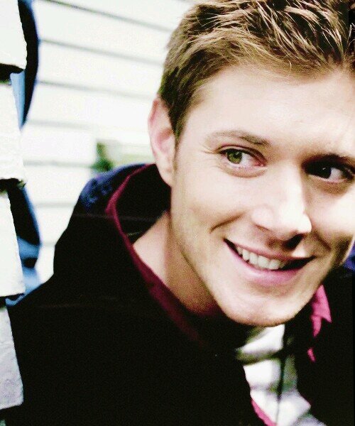 | SPN | DoctorWho | MARVEL | HarryPotter | Sherlock | Anime | PLL | StarTrek | Merlin | LOTR |