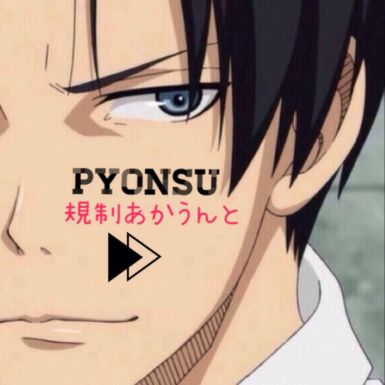 規制垢Pyonsuさんのプロフィール画像