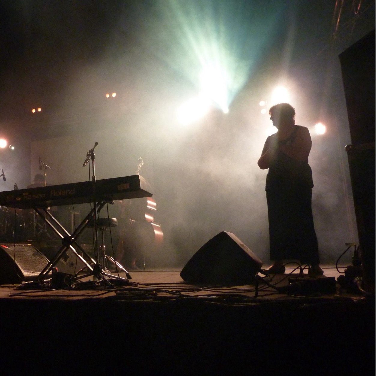 signlea's profile picture. 