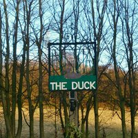 Theduck@pettbottom (@theduckpb) 's Twitter Profile