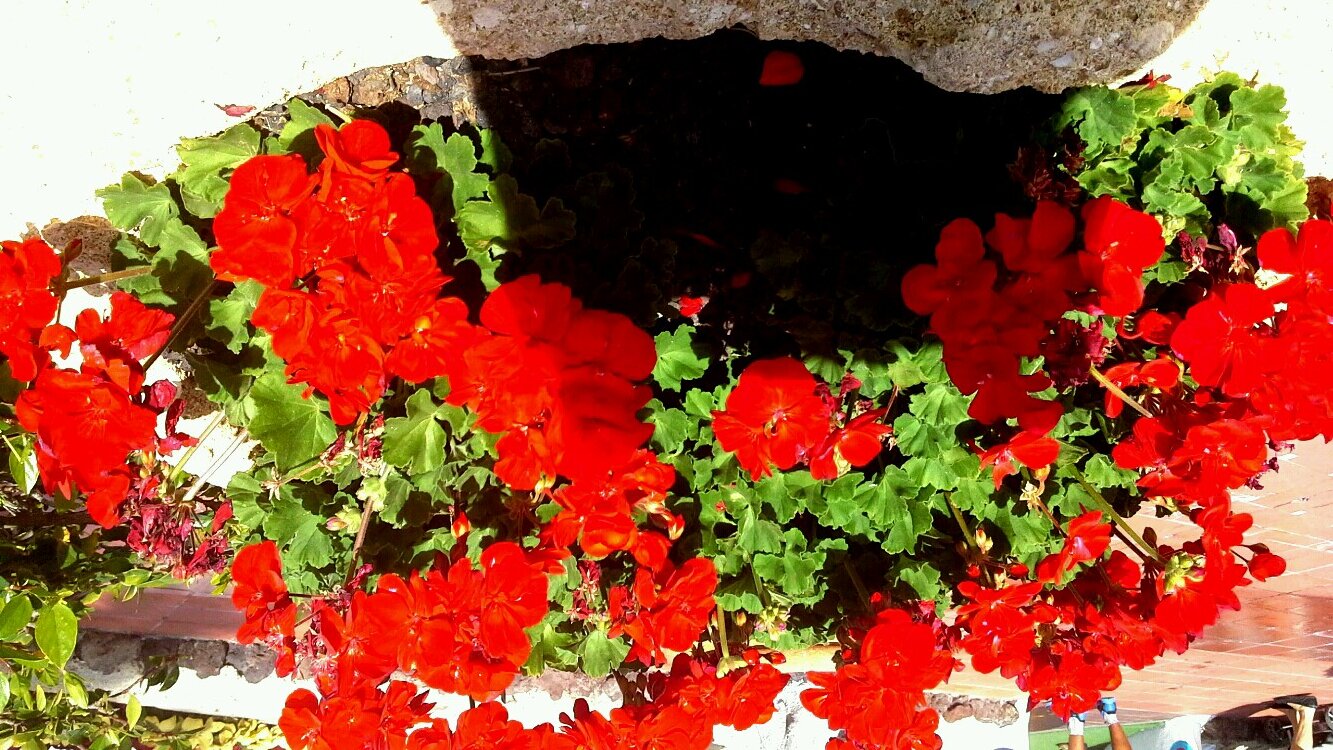 youthceterorama's profile picture. I am staying in the straight and narrow, talking to my father, following the light