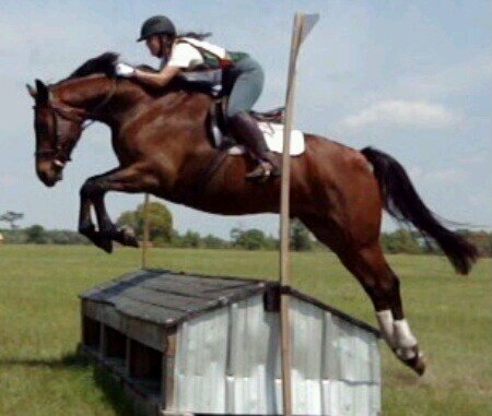 Employee manager/ Equestrian/ Mom. Married to a veterinarian and his practice.