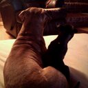 Brian Findley - @BfFindley - Twitter