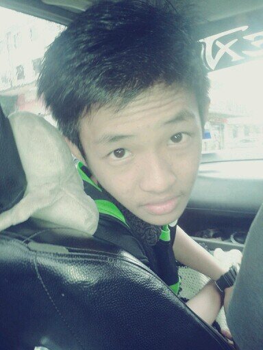 my ambition , actor , model