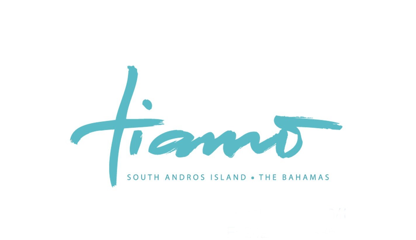 Tiamo resort