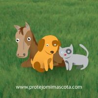 Protejo mi Mascota (@promimascota) 's Twitter Profile