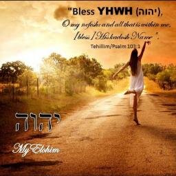 Yisraelboy_89's profile picture. 