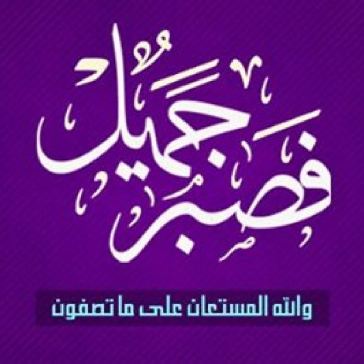 I am a student at the Higher Institute of Engineering technology. Muslim. Arabic. And interested in politics and football,finaly Down with military rule