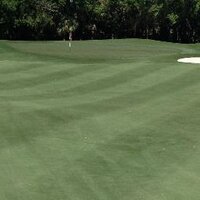 Mark Metzger (@markmetzger6) 's Twitter Profile