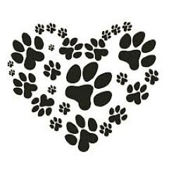 pettech10's profile picture. 