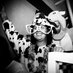 y tho (@ytho_za) Twitter profile photo