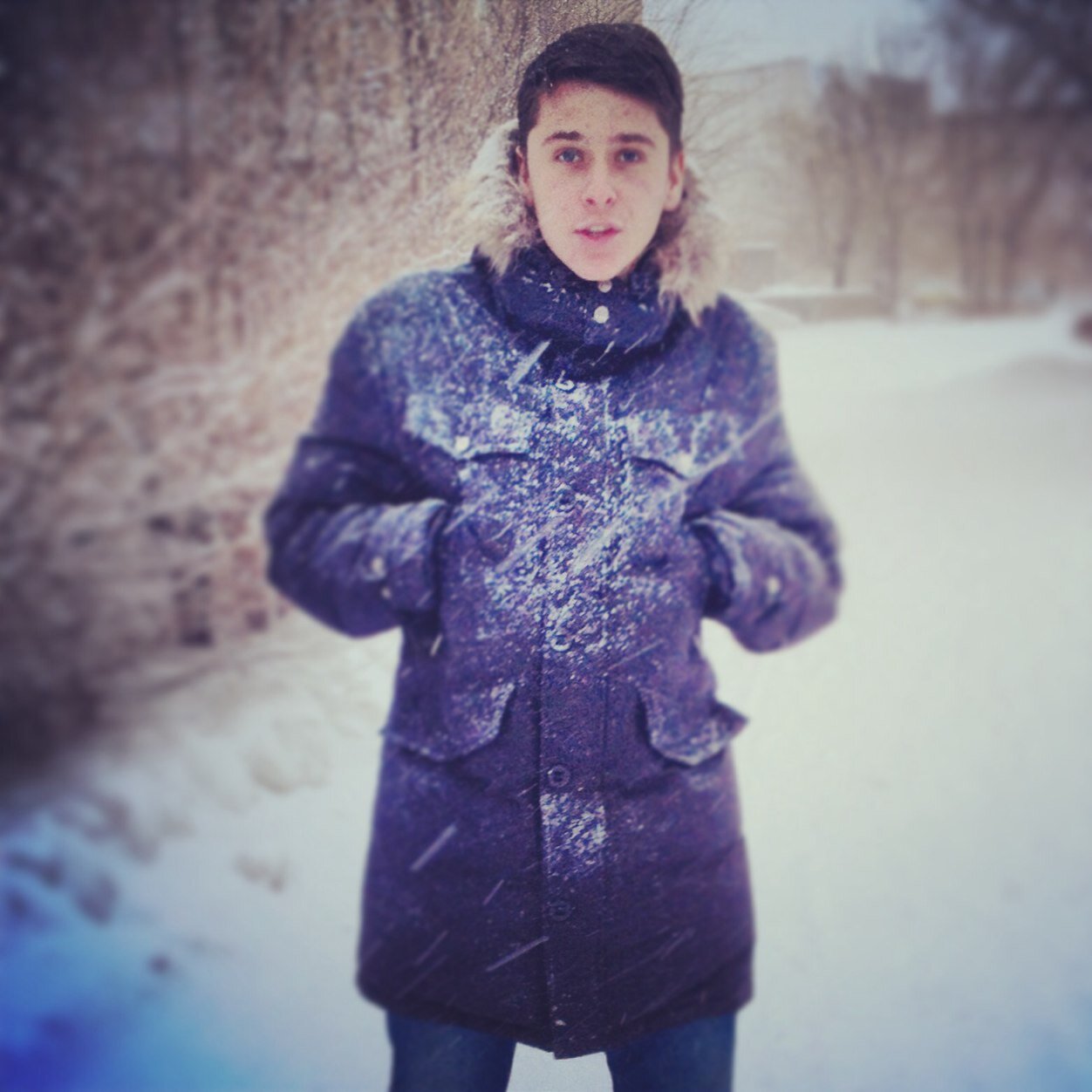 daniiil17's profile picture. 