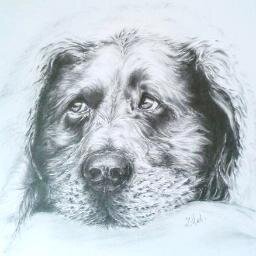 Fantasy & Portrait Artist
