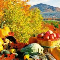 Gail Delihant (@delihant) 's Twitter Profile Photo