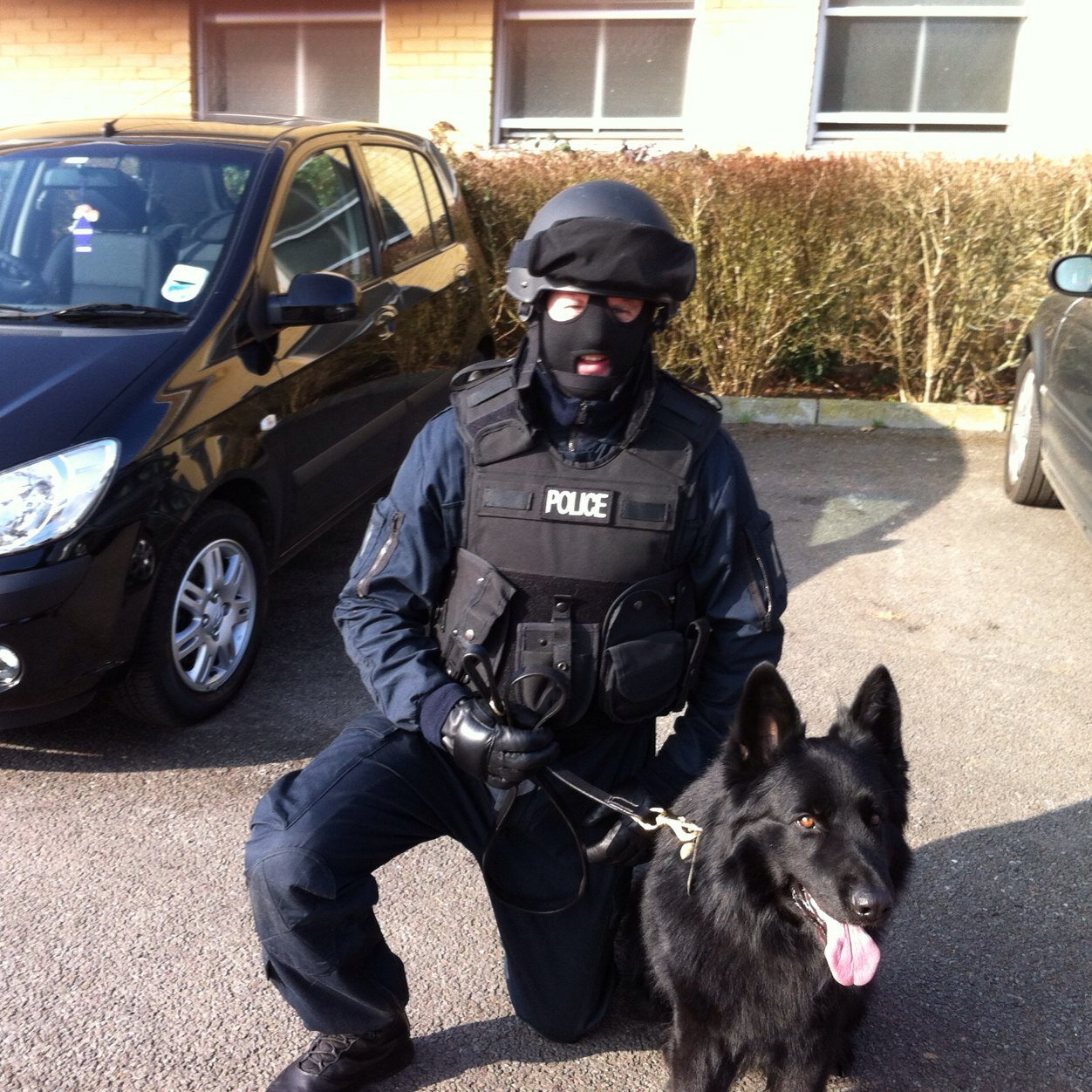 k9fuzz1's profile picture. A house isn't a home without a dog!!