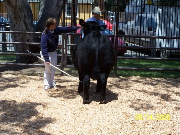 Livestockshows's profile picture. Eat. Sleep. Show!