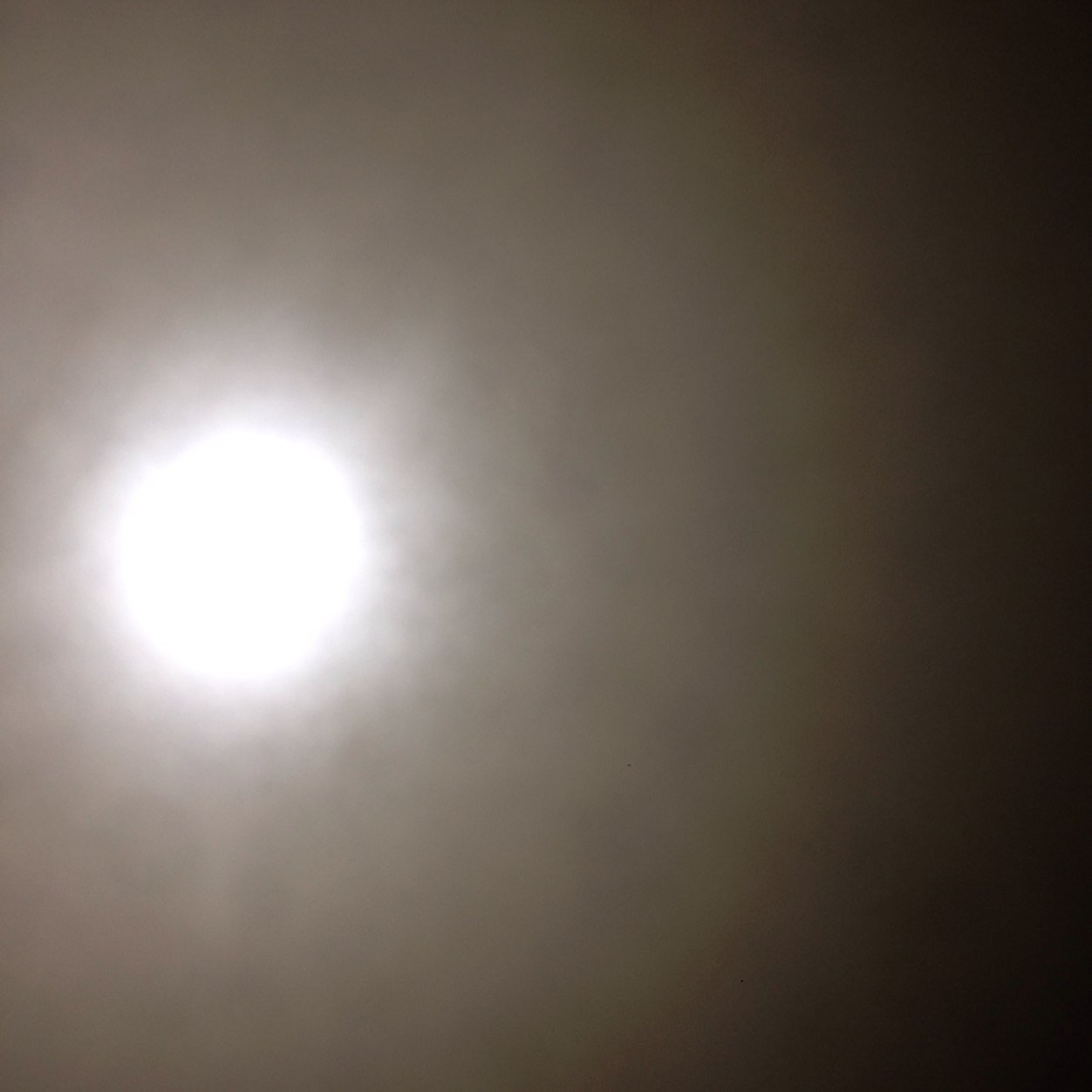 nichelle_beb's profile picture. 