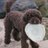 Pastryjones's profile image
