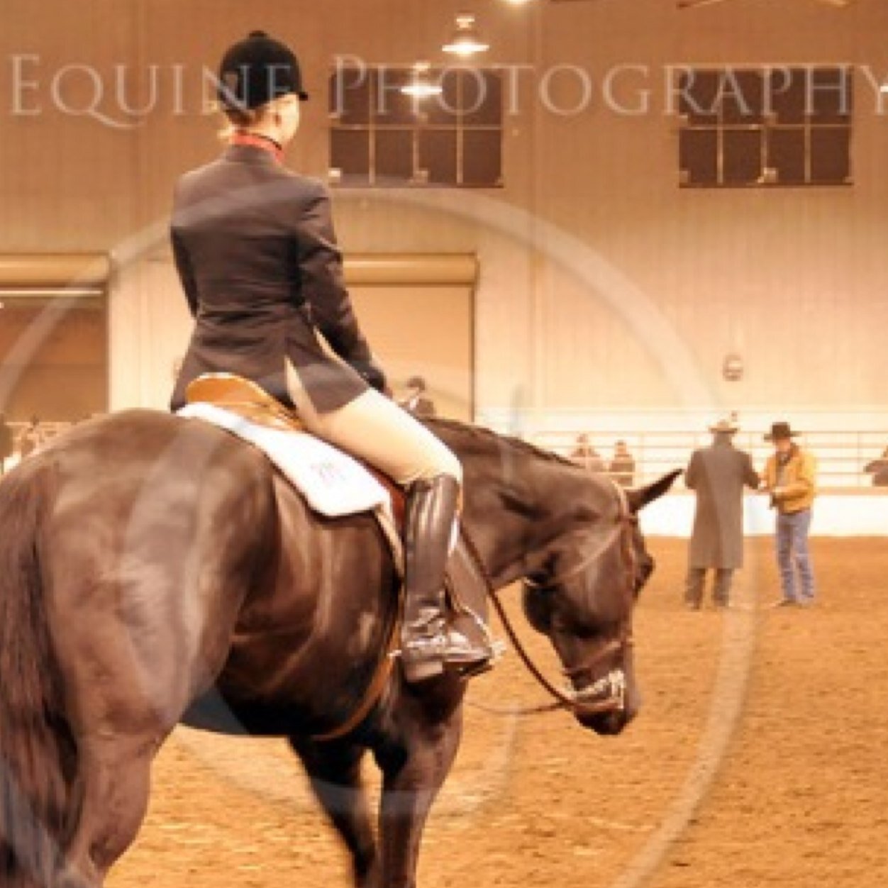 I show AQHA so bitch I'm fabulous