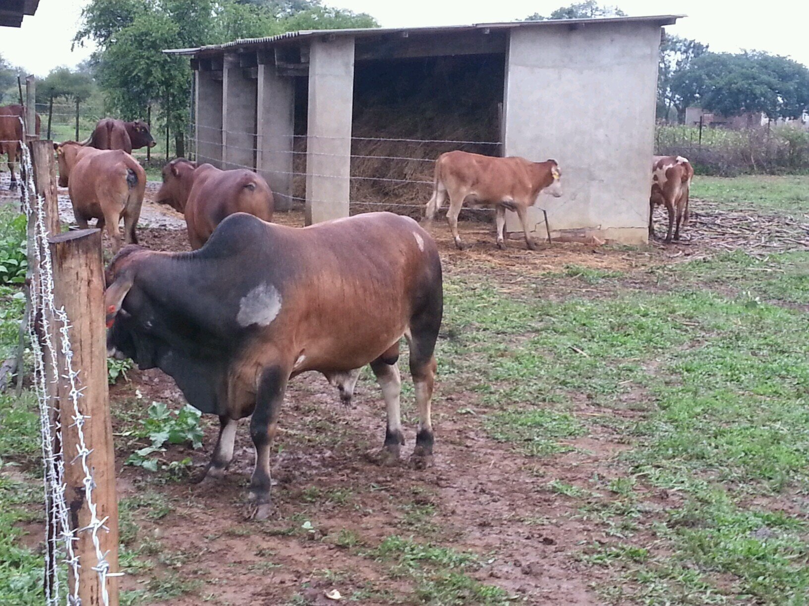 new farmer is my name, agricultur is the game