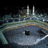 !KRÂL LİDERİZM (@sosyaladam01) 's Twitter Profile