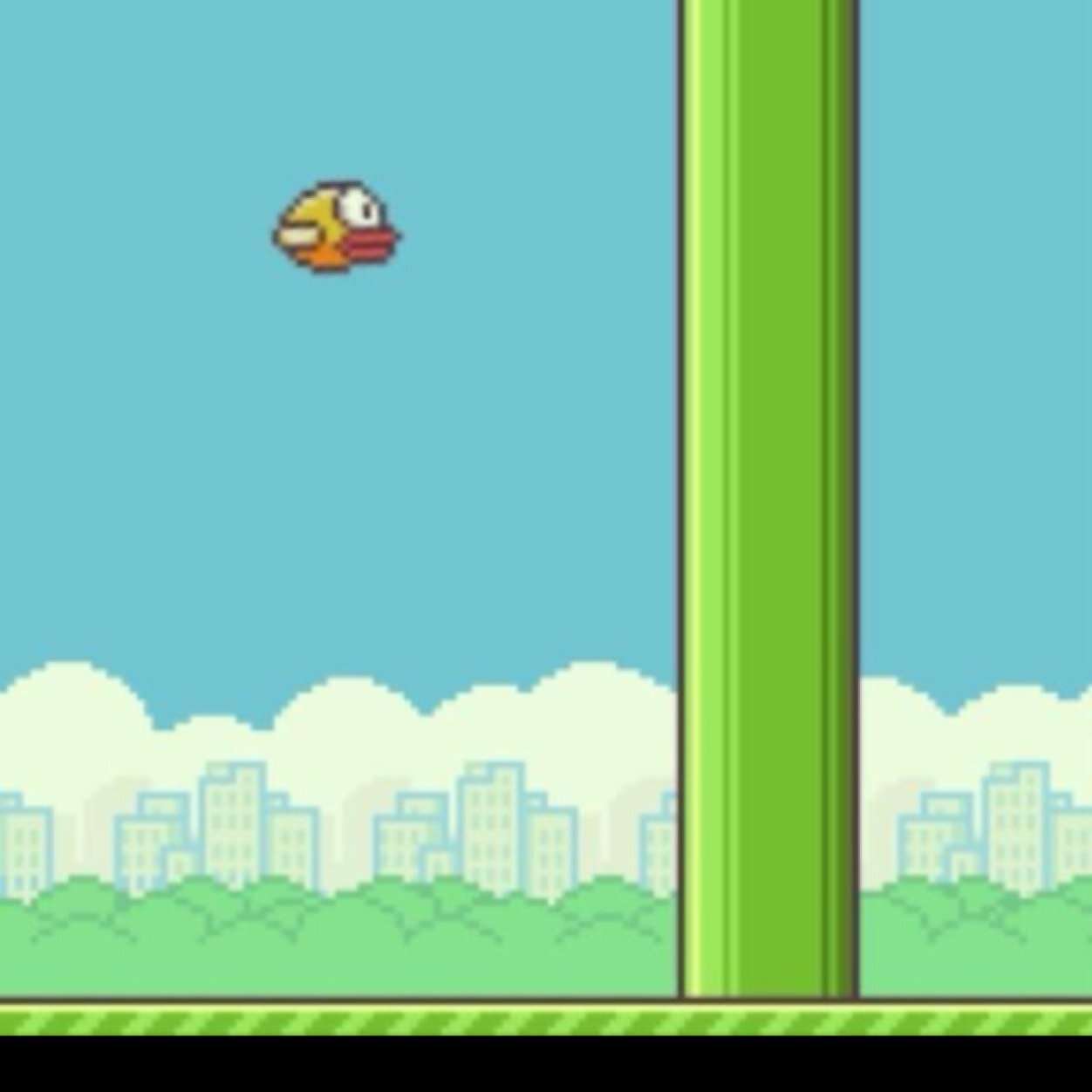 flappybird_pain's profile picture. Sharing common frustrations with the flappy bird app