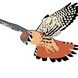 The American Kestrel Partnership is coordinated by @PeregrineFund to study and conserve the American Kestrel. Learn how you can help Kestrels!