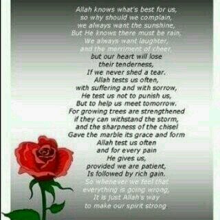 khinmgtun2050's profile picture. 19years