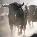 pablo mariscal - @pablomariscal1 - Twitter