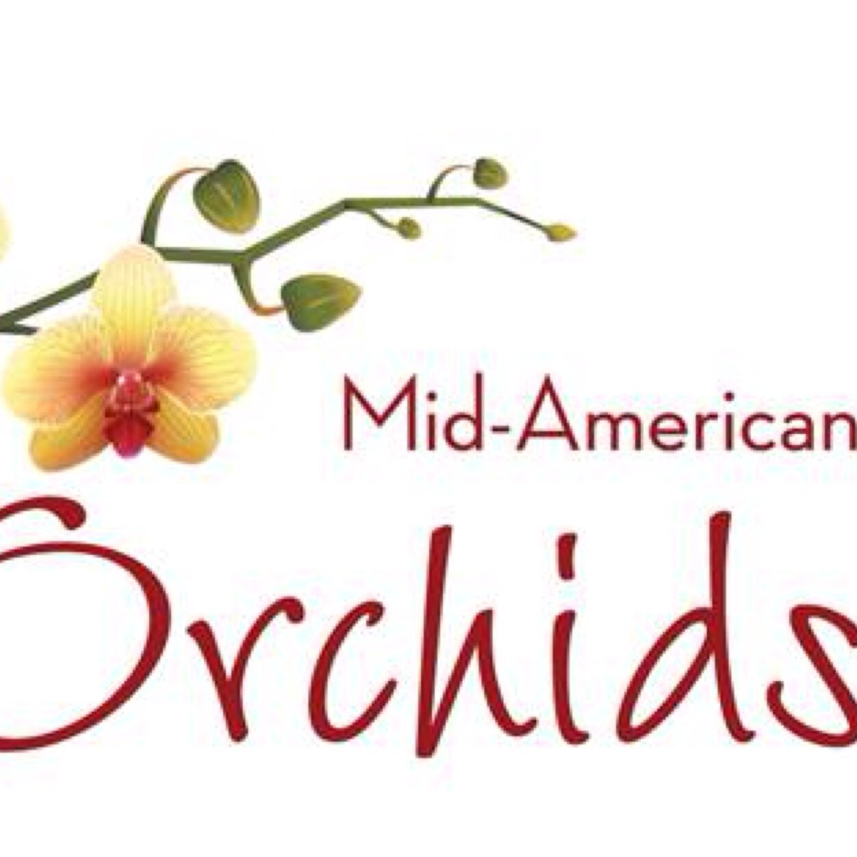 One of the industry leaders providing quality grown orchids. Family owned and family grown since 1971.